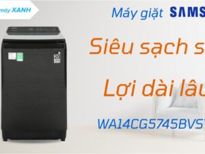 Máy giặt Samsung Ecobubble Inverter 10.5 kg WA10CG5745BDSV