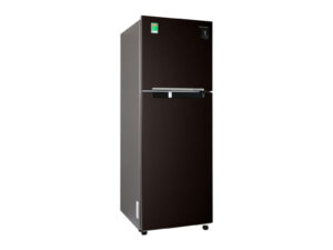 Tủ lạnh Samsung Inverter 236 lít RT22M4032BU/SV