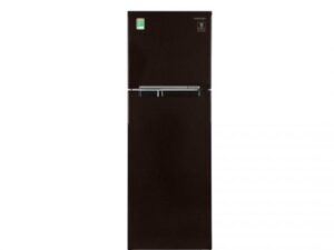Tủ lạnh Samsung Inverter 256 lít RT25M4032BU/SV